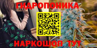 сатива Будённовск