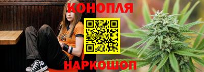 сатива Будённовск